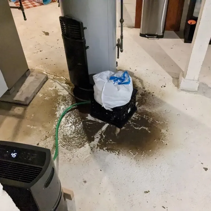 Sewage Backup Cleanup Service in Ascension Parish, LA